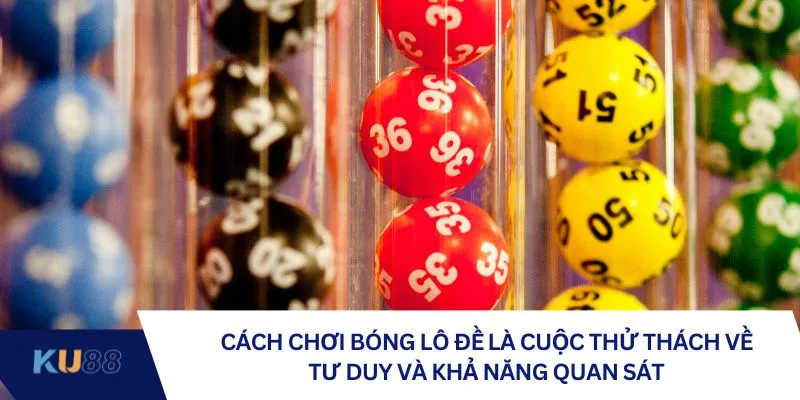Cách chơi bóng lô đề là cuộc thử thách về tư duy và khả năng quan sát